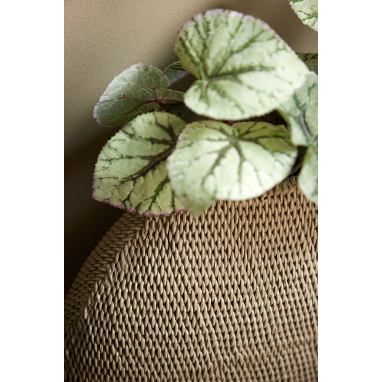 Vaas Decoratie Olijfgroen