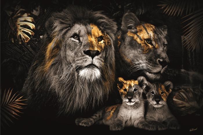 The Lion Family